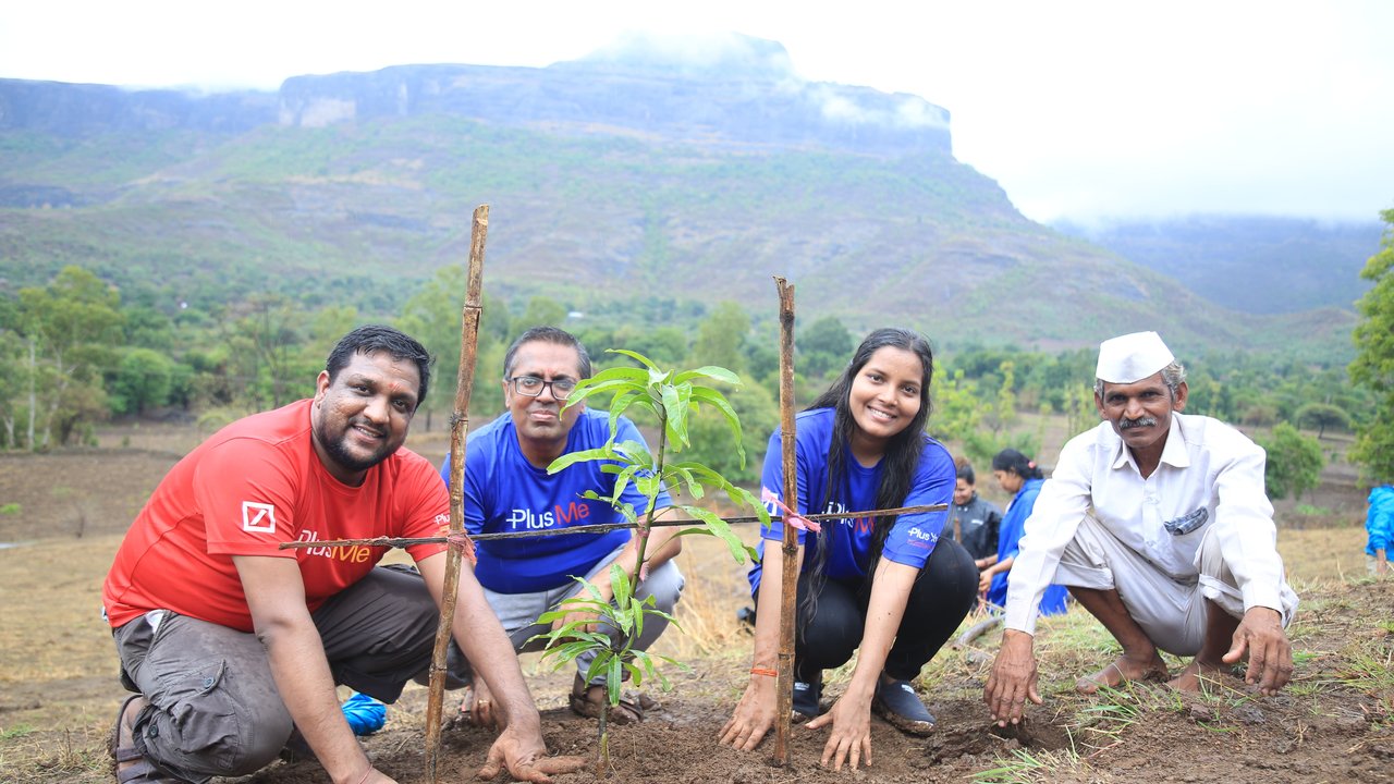 Creating fruitful income sources